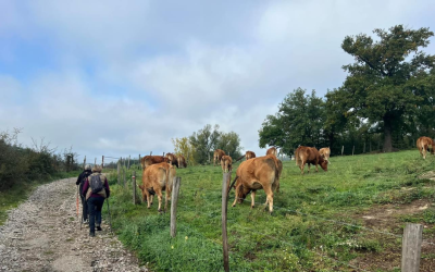 Soutien aux agriculteurs face à la multiplication des aléas climatiques