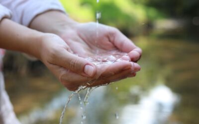 Reconnaître le droit à l’eau comme un droit fondamental