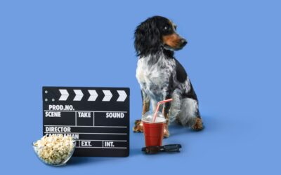 Il est temps d’interdire l’utilisation d’animaux sauvages lors des tournages !