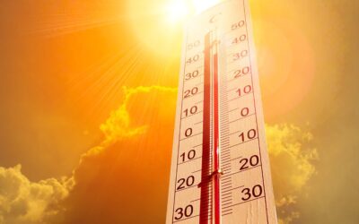 Canicule historique : nous ne pouvons plus attendre pour agir