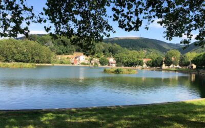 Noyades au bassin de Janon